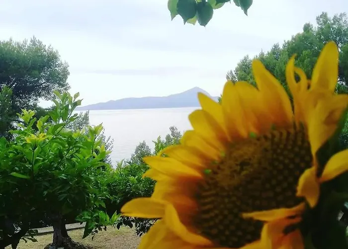 Couette-café Zia Yaya